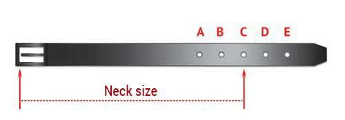 Dog Collar Sizing Chart